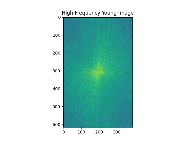 Fourier Transform of High Frequency Young