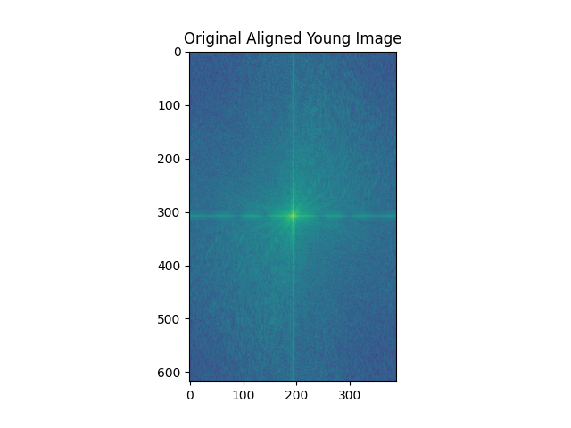 Fourier Transform of Young