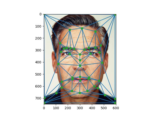 Georege image with Triangulations