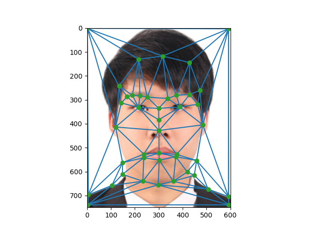 Tam image with Triangulations