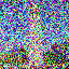 Noisy Image at t = 648